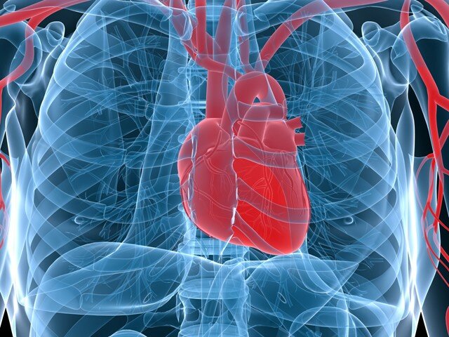На фото: фимоз указывает на заболевания сердечно-сосудистой системы