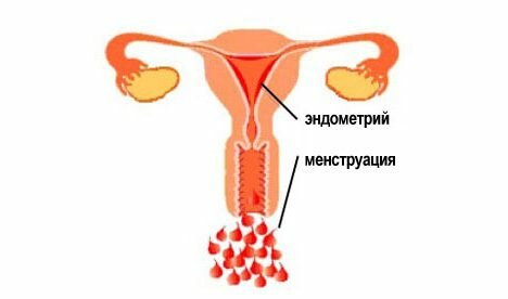 На фото: менструация