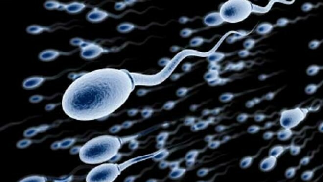 На фото: улучшение качества спермы